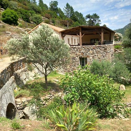 A Guinguetta Bed and Breakfast Venaco  Buitenkant foto
