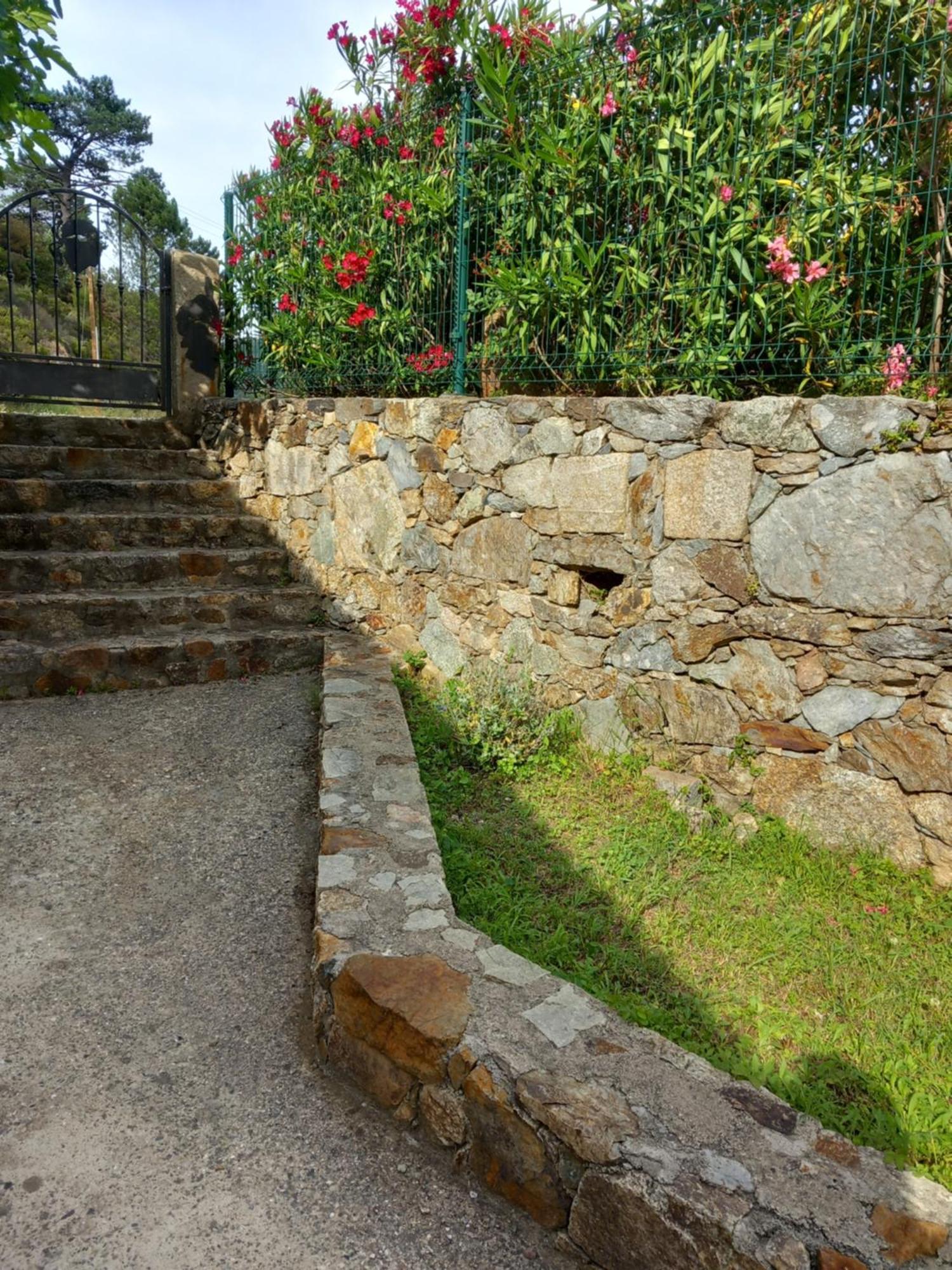 A Guinguetta Bed and Breakfast Venaco  Buitenkant foto
