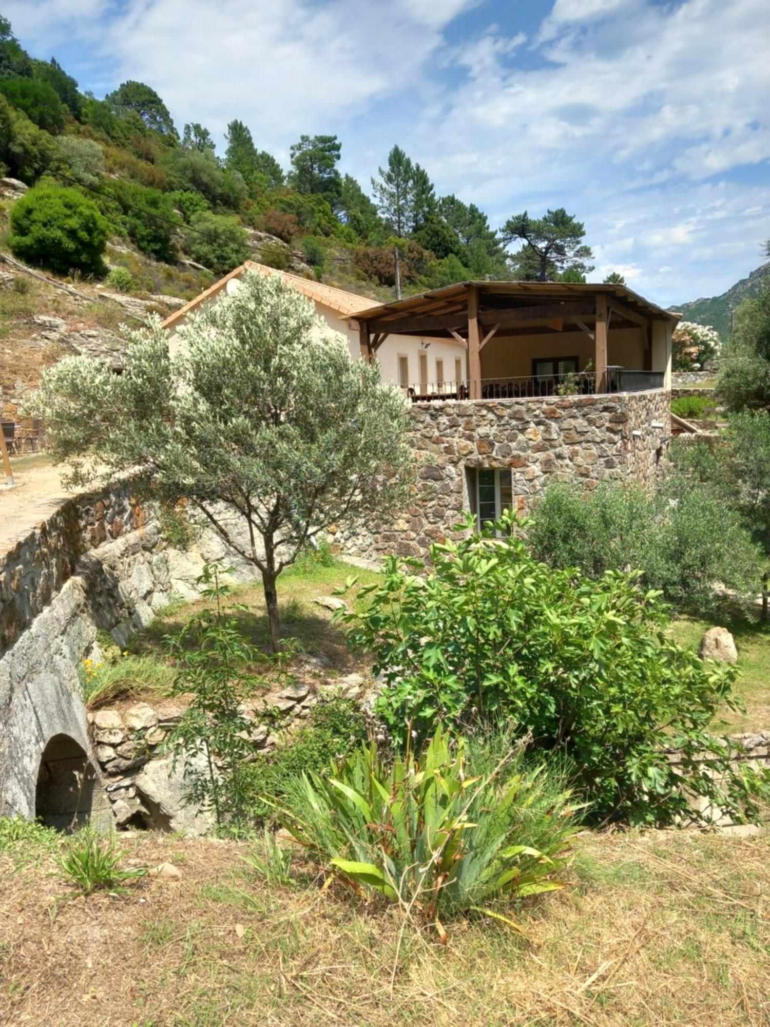 A Guinguetta Bed and Breakfast Venaco  Buitenkant foto